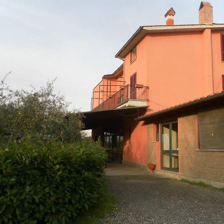 Il Contado B&B Castel Sant'Elia 外观 照片